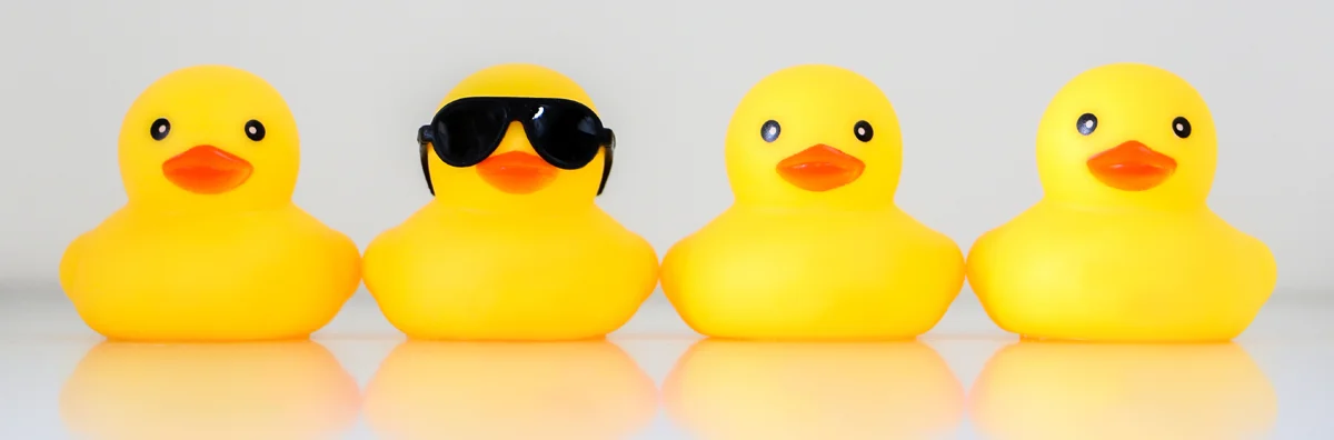 On Pack Promotion: ducks but one stands out with glasses on