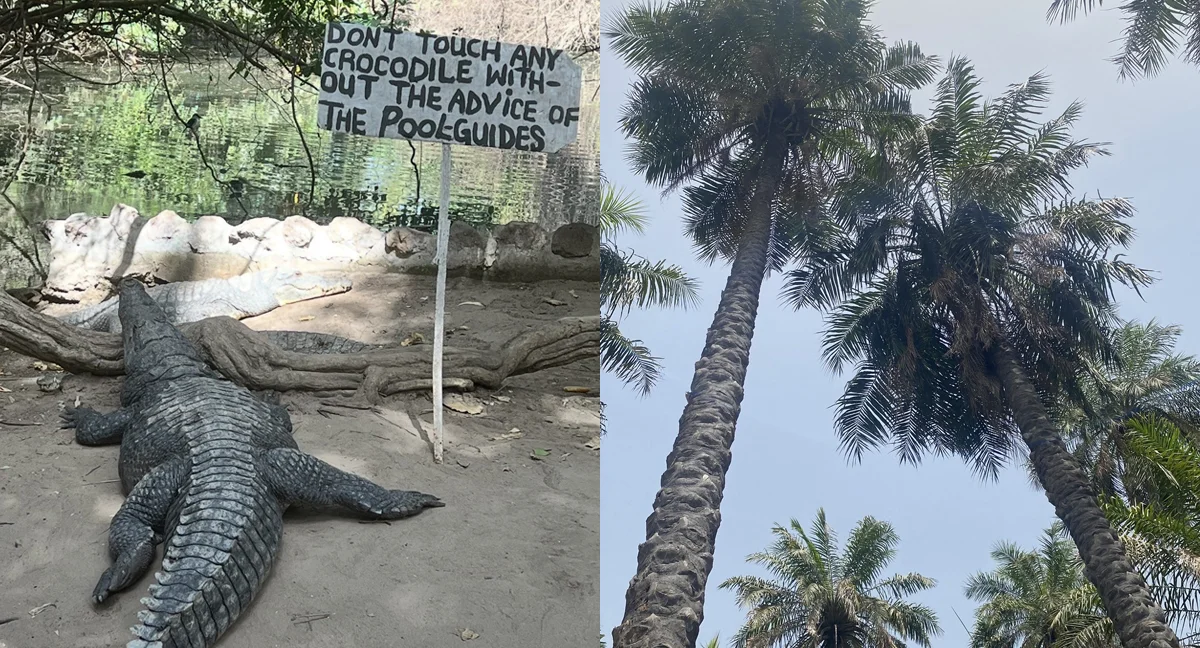 Anya: Photos from Anya's trip to The Gambia