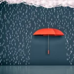 Over-Redemption Insurance vs Fixed-Fee: umbrella protecting beneath it from the rain